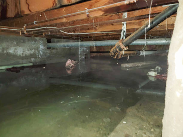 Water damage restoration experts in Culver, OR