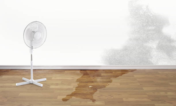Local water damage restoration in Culver, OR